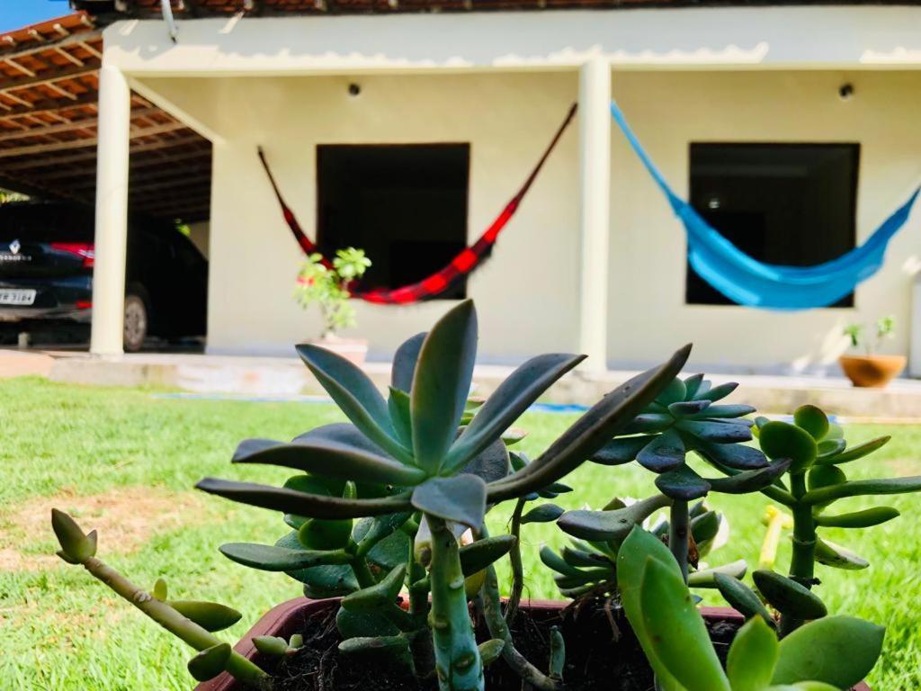 Casa Em Barreirinhas 01 Διαμέρισμα Εξωτερικό φωτογραφία