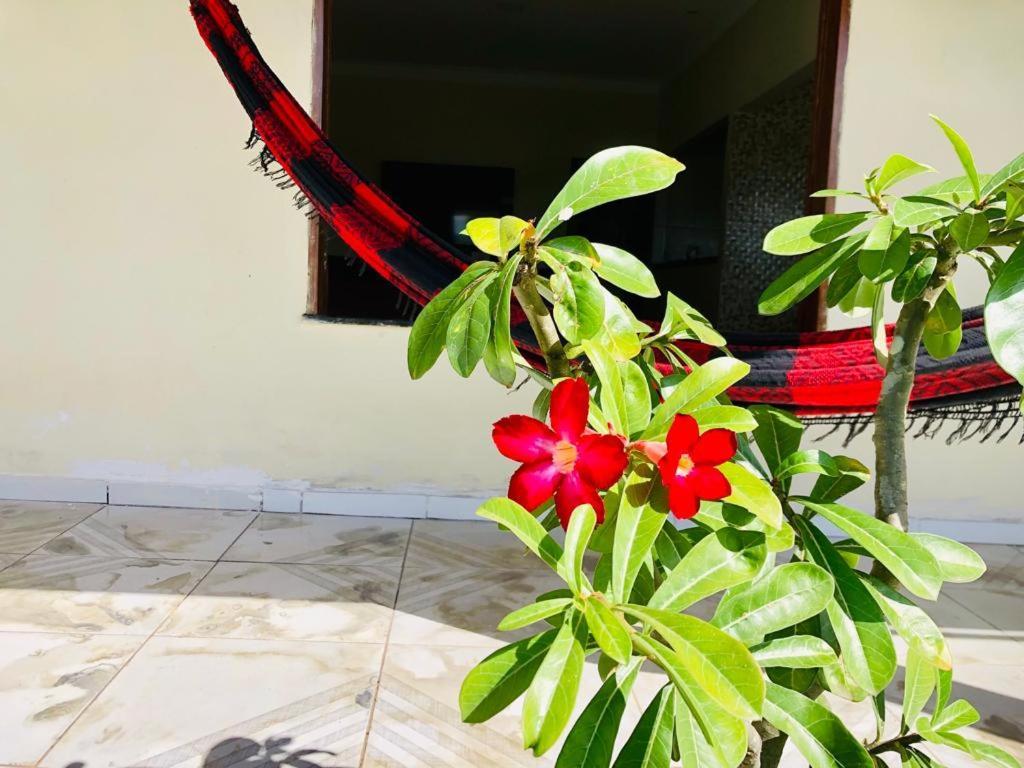 Casa Em Barreirinhas 01 Διαμέρισμα Εξωτερικό φωτογραφία