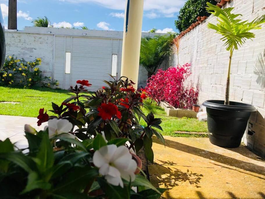 Casa Em Barreirinhas 01 Διαμέρισμα Εξωτερικό φωτογραφία